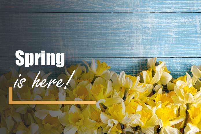 Spring Home Checklist: Top 7 Items